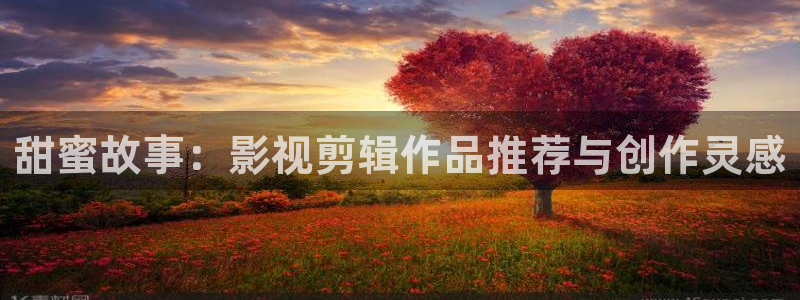 新电影天堂网